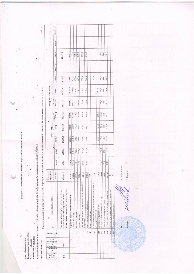 Individual financing plan