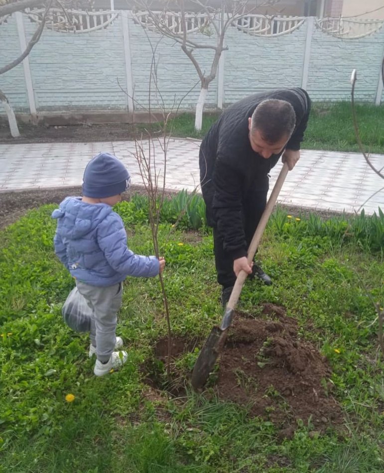 "Растим вместе" посадка саженцев с детьми и родителями